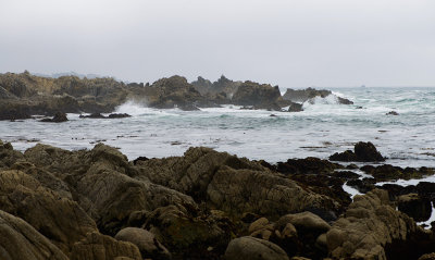 _DSC0571.jpg