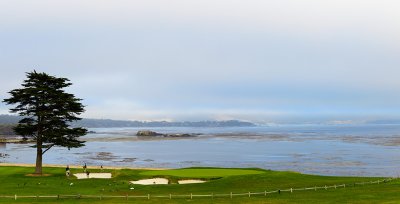 _DSC0768.jpg