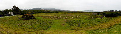 carmel ranch meadow.jpg
