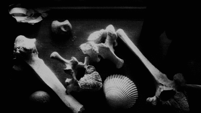 5.gif
