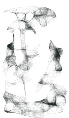 conference of the birds.jpg