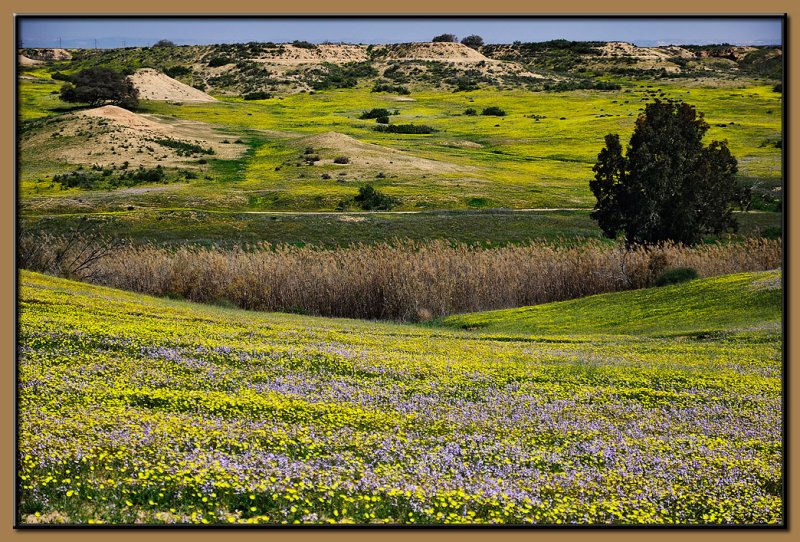 Spring 2011 - Nachal Bsor