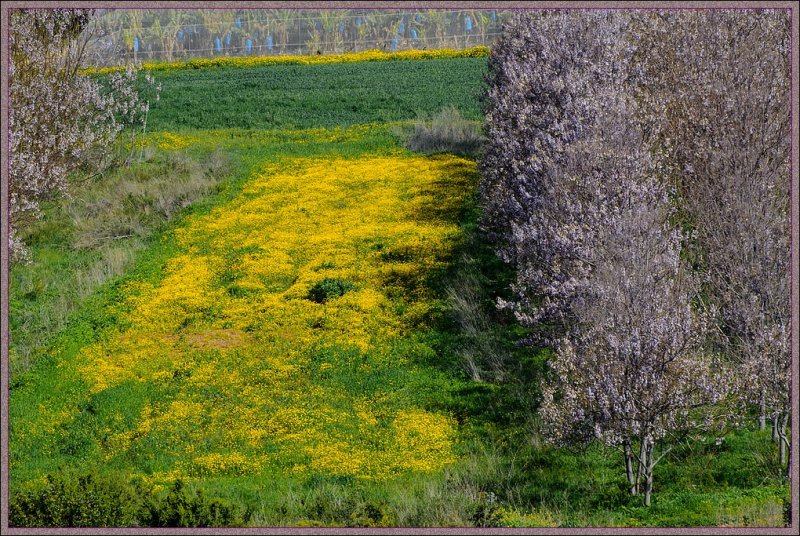 Beginning of spring 2012