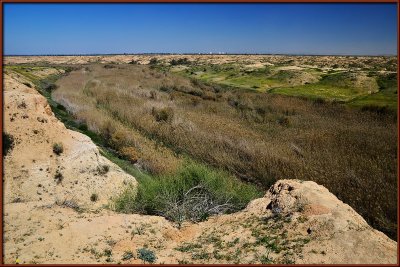 Spring 2011 - Nachal Bsor