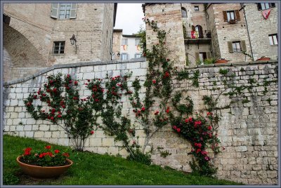 Gubbio