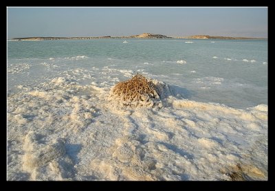 The Dead Sea