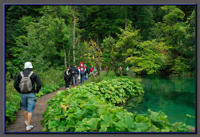 Croatia, the Plitvice falls