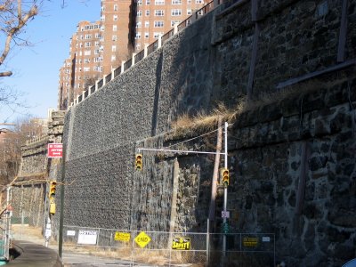 IMG_9504.jpg