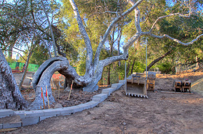 february_2011