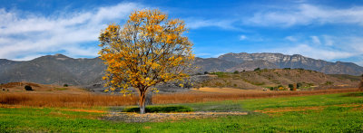122520051553pan3.jpg