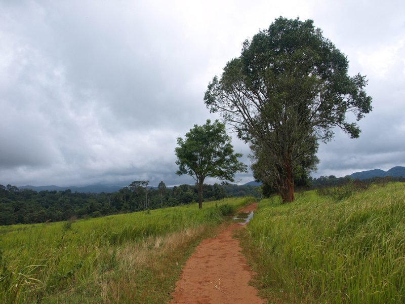 Khao Yai National Park