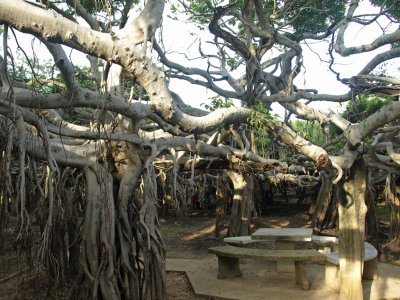 Phimai - Sai Ngam