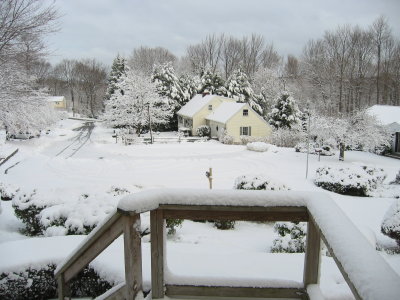 353-5393_IMG.JPG