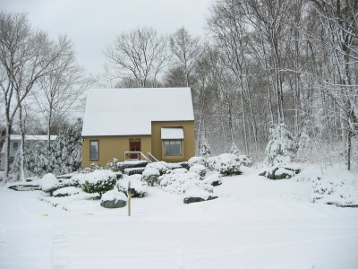 353-5394_IMG.JPG