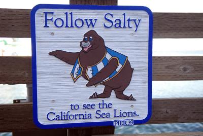 Follow Salty