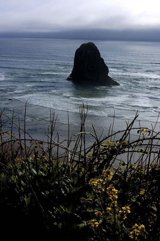 South of Cannon Beach