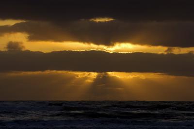 Arch Cape Sunbeams