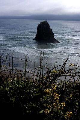 South of Cannon Beach
