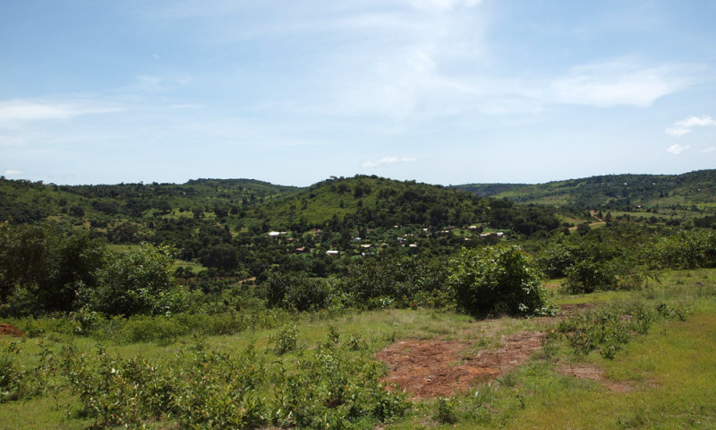 Up on a hill on the way