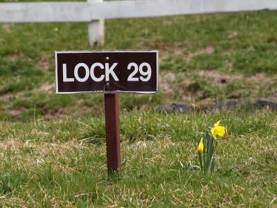 Spring arrives at Lock 29