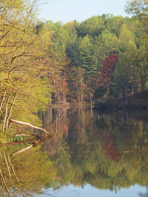 April 24th - Seneca Creek Park