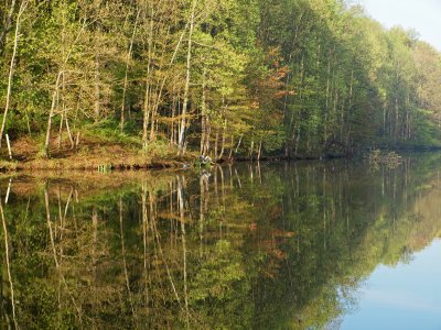 Reflections on the still waters
