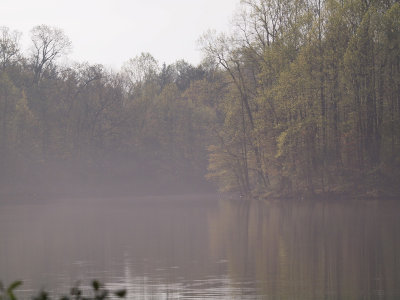 Morning mist