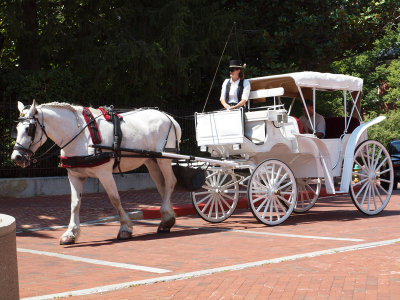 Carriage ride