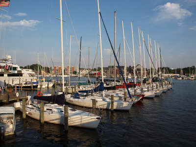 Boats at the club