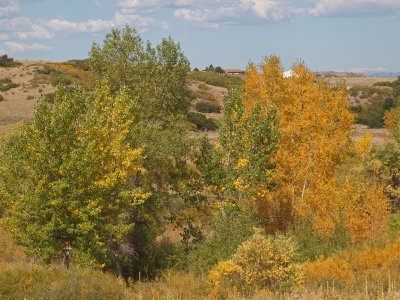Signs of Fall on the High Plains