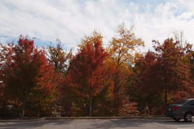 Front parking lot