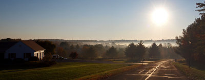 Panorama - Morning fog in the trees