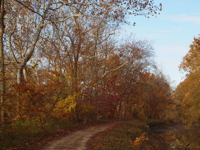 My colorful trail