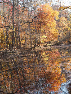 Colors in the water