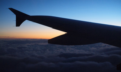 Wing at sunset