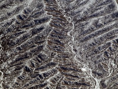 Light snow of the tree covered hillsides