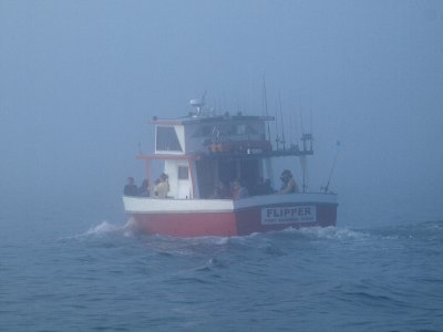 Sailing away into the fog