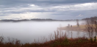 Panorama - Fog at Black Hill park