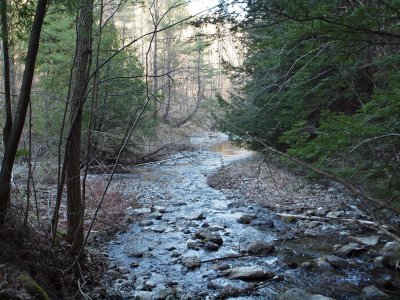 The stream behind the motel