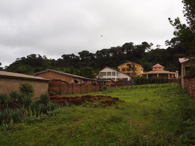 The hill behind the house where she lives