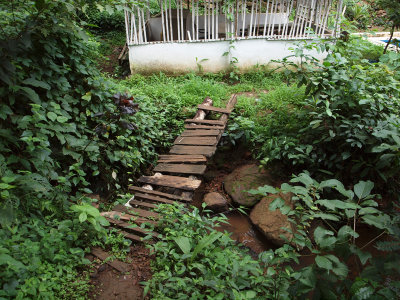 Pathway to the project