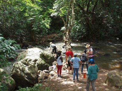 Getting ready to cross the stream