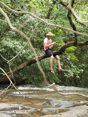 Up on the tree