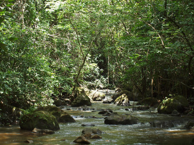 Upstream at the crossing