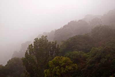 Fog rolling in