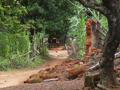 Pathway through the village