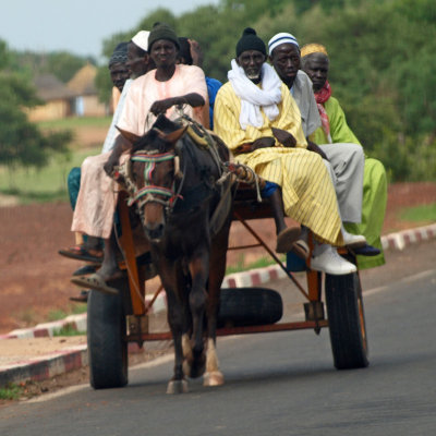 Horse drawn cart