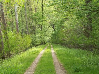 The towpath