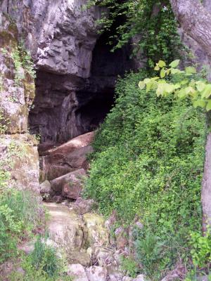 Howell caves