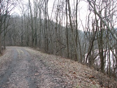 Towpath and Potomac diverge at Prathers Neck
